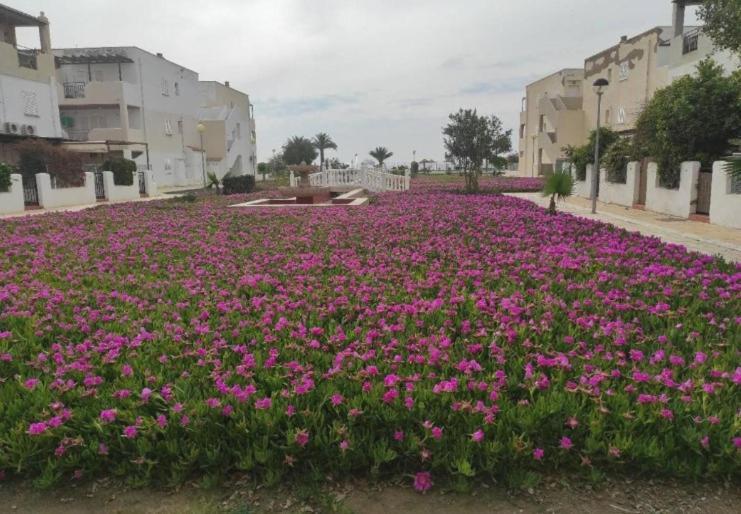 Naturista Natura World Playas de Vera Zewnętrze zdjęcie